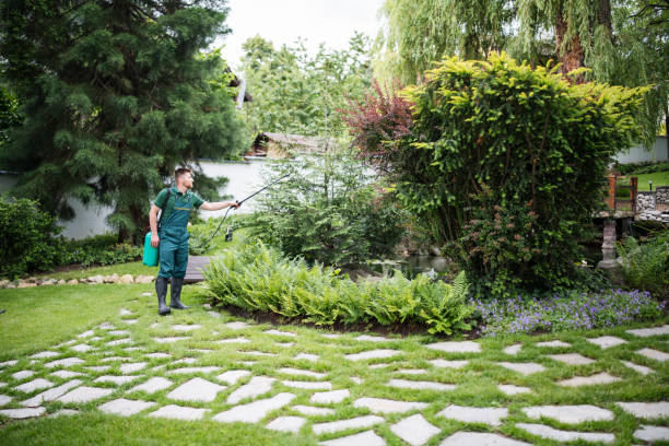 Best Pest Prevention Services  in West Kittanning, PA