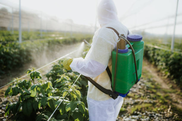 Best Commercial Pest Control Services  in West Kittanning, PA